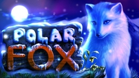 Polar Fox игровой автомат в который можно играть бесплатно!